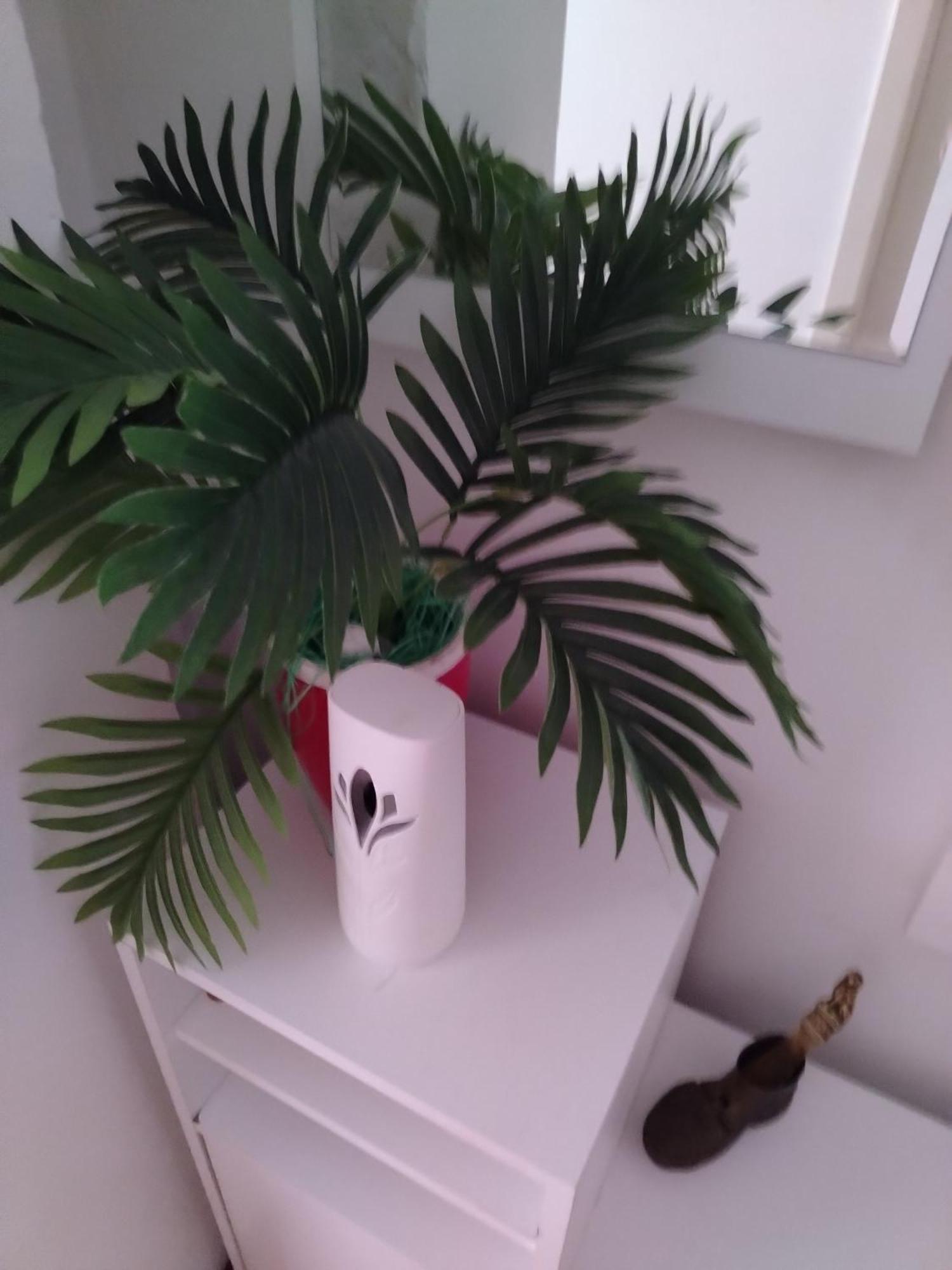 Apartman Mira Požarevac Esterno foto